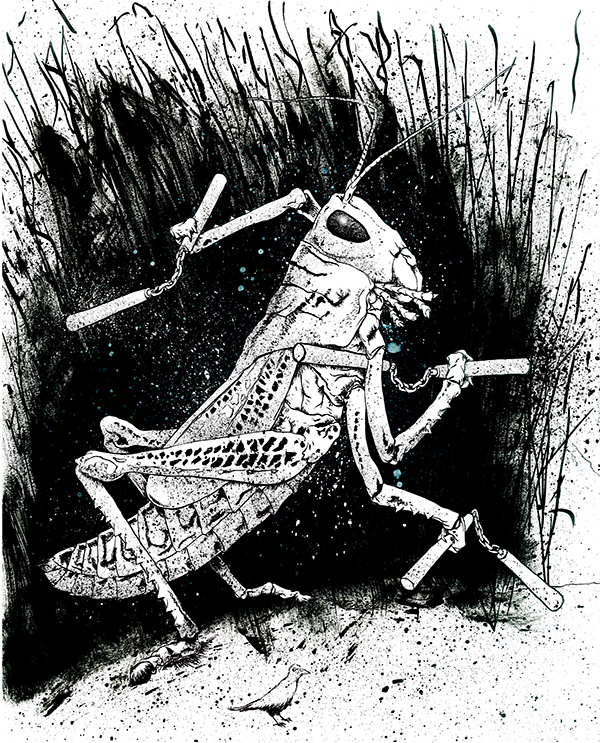 Image of a Grasshopper weilding nunchucks - Artist: Jonas Hastings